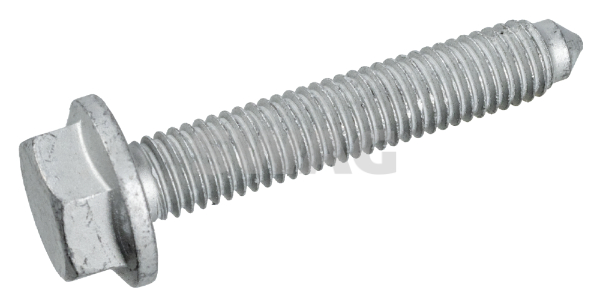 SWAG 30 10 1433 Screw